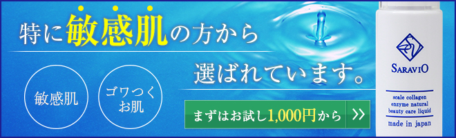 �T�����B�I���e�t�̌���