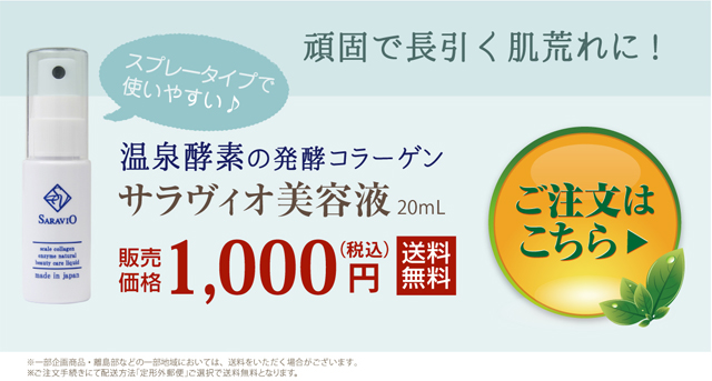 �T�����B�I���e�t�̌���